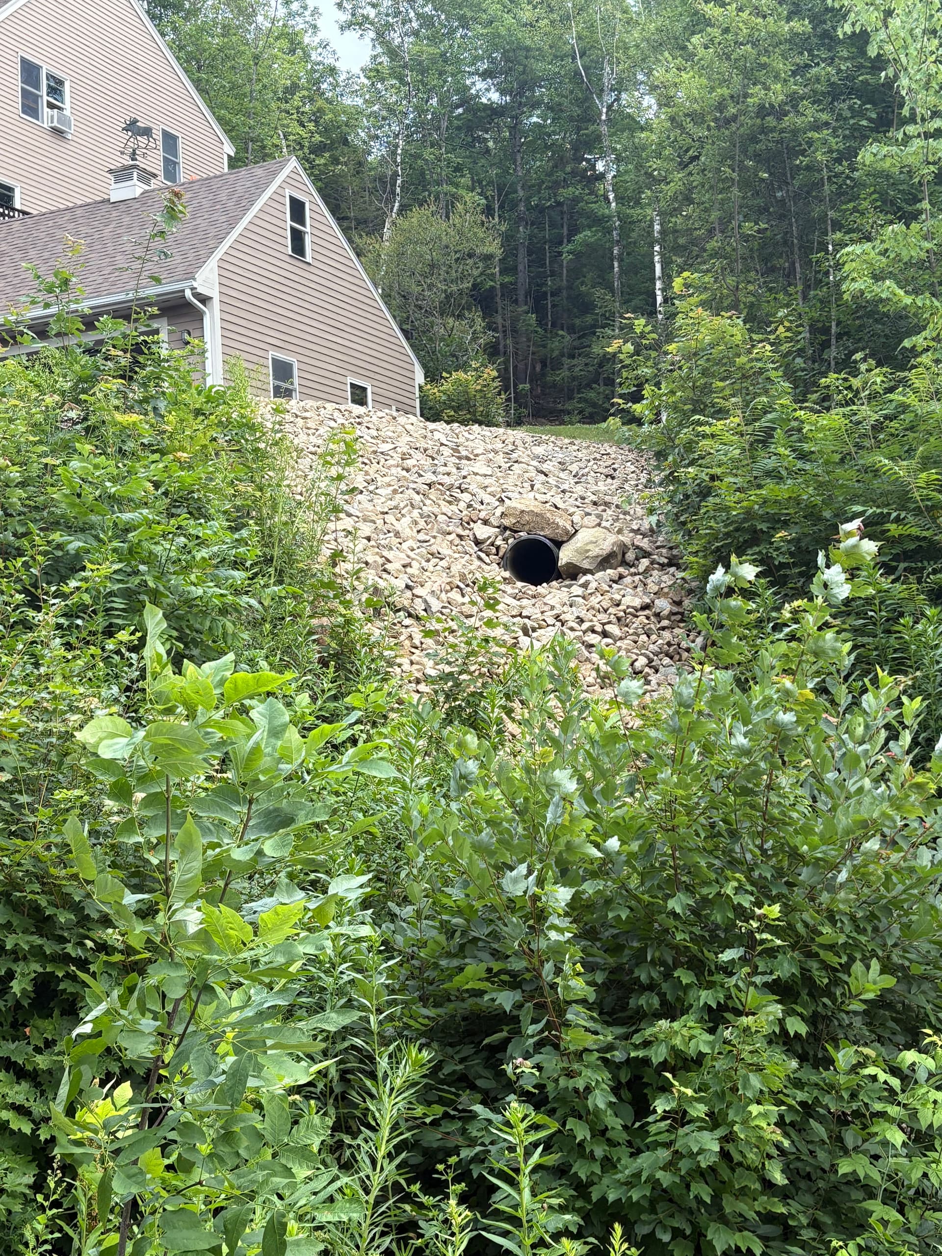 Gallery photos for Failed Stormwater Drain Line Repair and Erosion Control in Jackson: Image #7