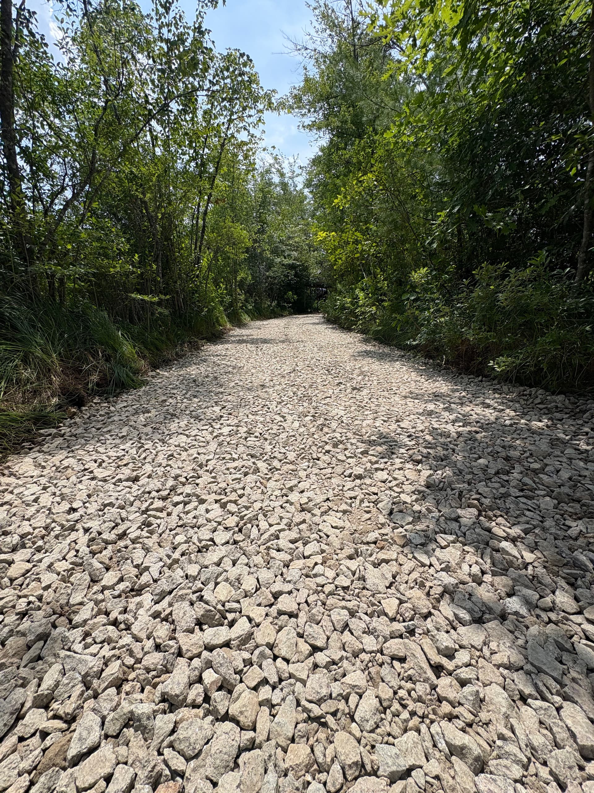 Gallery photos for Full Excavation and Crushed Gravel Driveway Build in Maine: Image #1