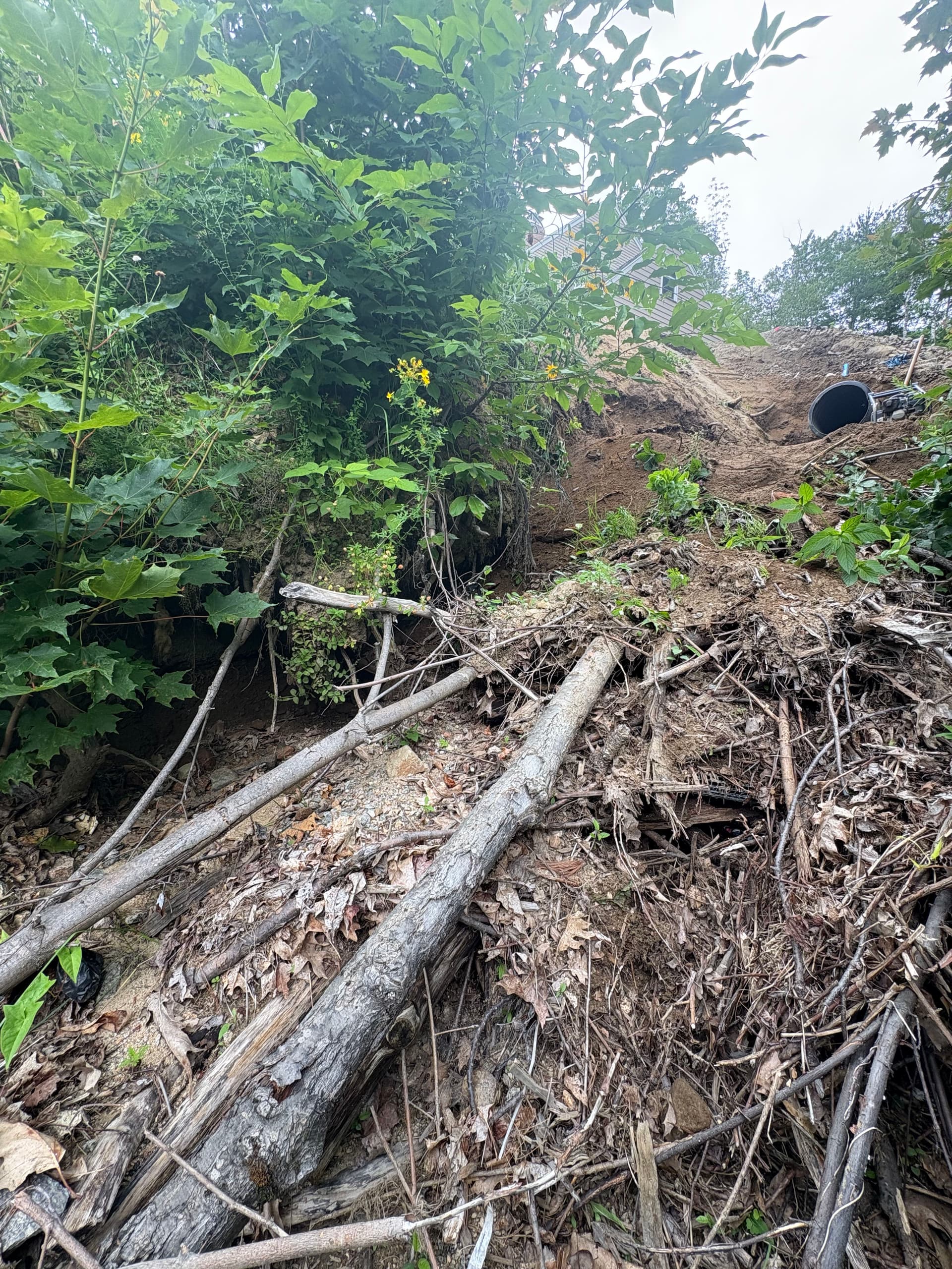 Gallery photos for Failed Stormwater Drain Line Repair and Erosion Control in Jackson: Image #1